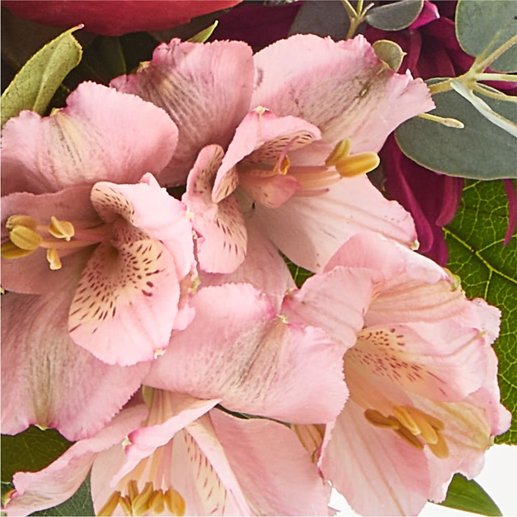 Berry Cobbler Bouquet –  Fleurs.ca, Quebec PQ