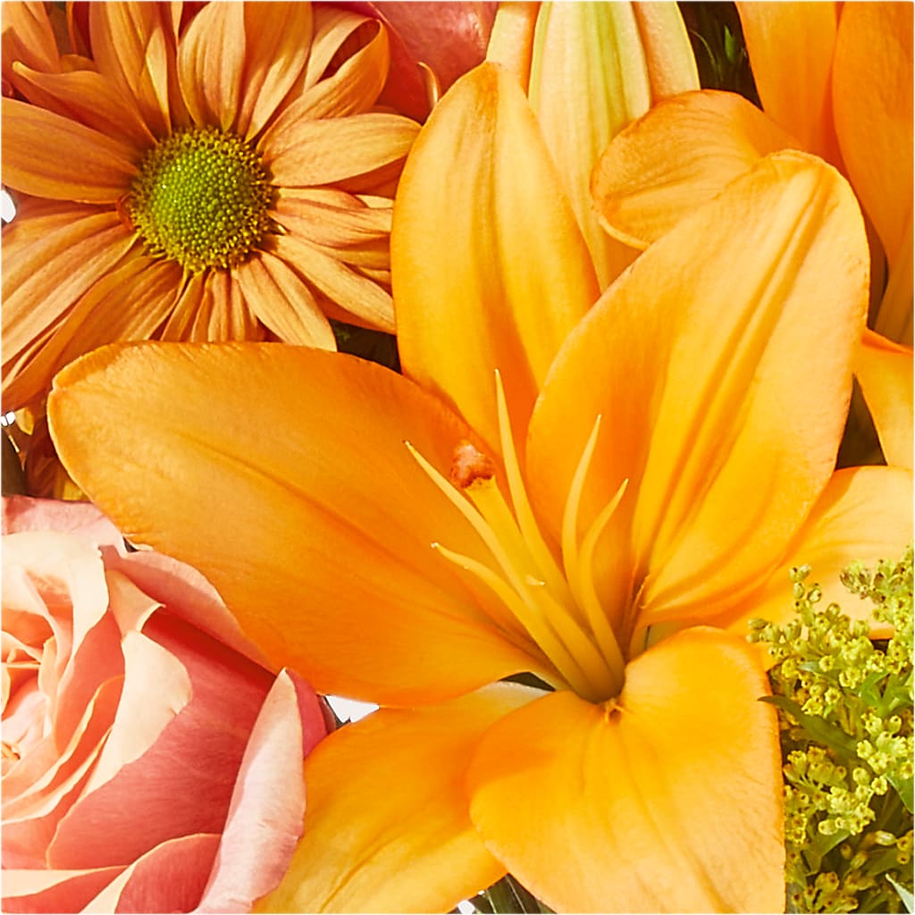 Harvest Hayride Bouquet –  Fleurs.ca, Quebec PQ