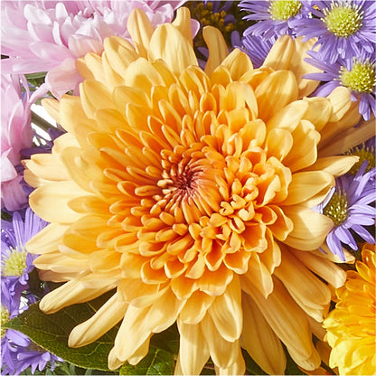 Countryside Bouquet –  Fleurs.ca, Quebec PQ