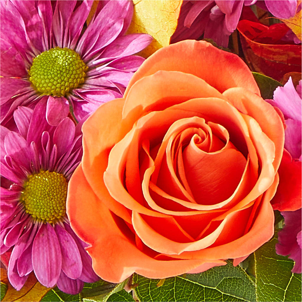 Mum's the Word Bouquet –  Fleurs.ca, Quebec PQ