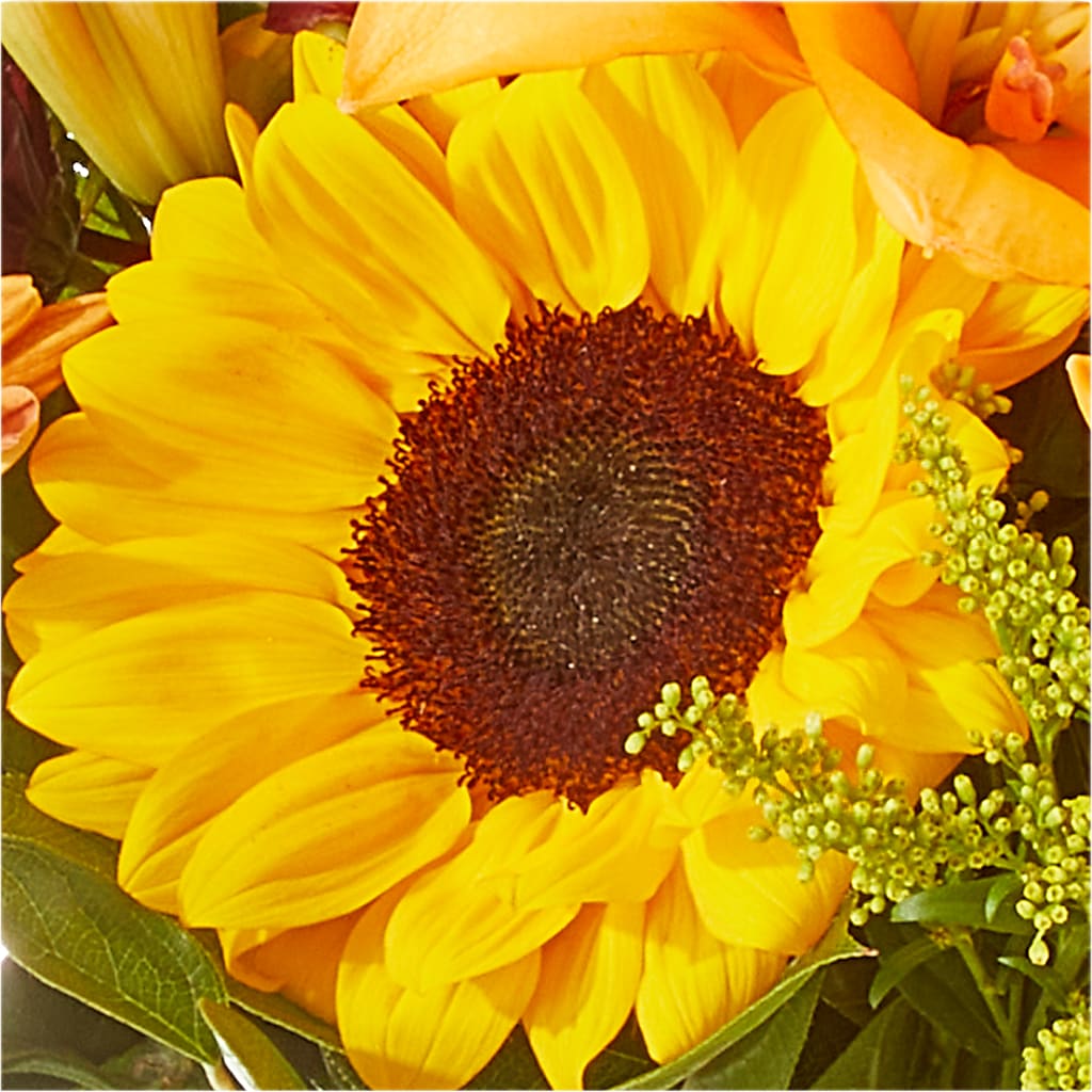 Seasons Change Bouquet –  Fleurs.ca, Quebec PQ