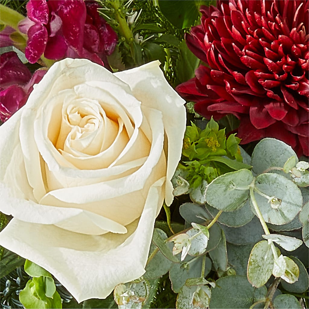 Cranberry Fizz Bouquet –  Fleurs.ca, Quebec PQ