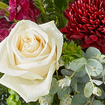 Cranberry Fizz Bouquet –  Fleurs.ca, Quebec PQ