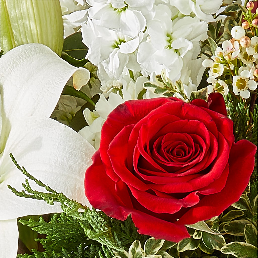 Twinkle Lights Bouquet –  Fleurs.ca, Quebec PQ
