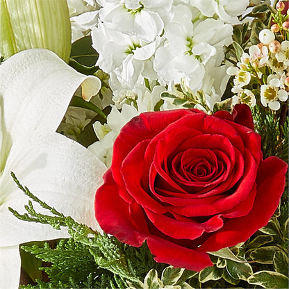 Twinkle Lights Bouquet –  Fleurs.ca, Quebec PQ