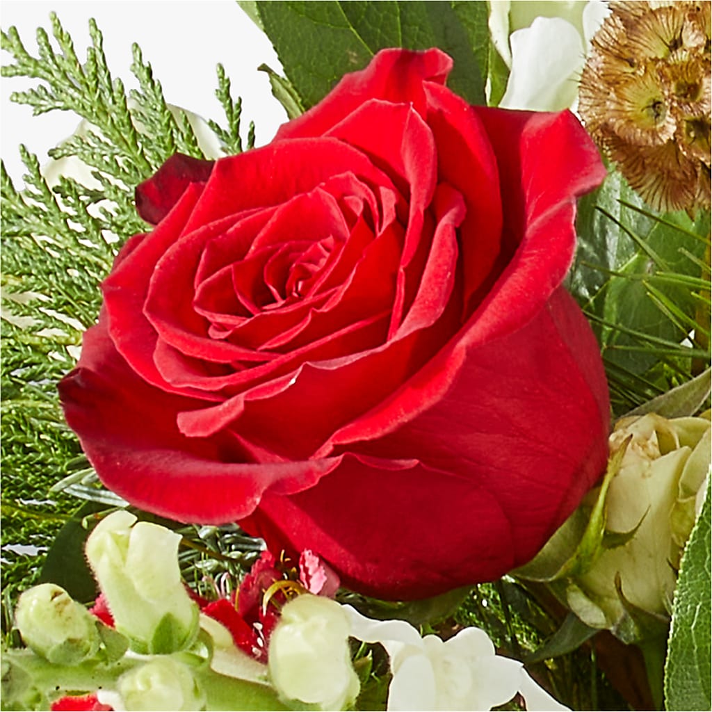 Deck the Halls Bouquet –  Fleurs.ca, Quebec PQ