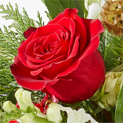 Deck the Halls Bouquet –  Fleurs.ca, Quebec PQ