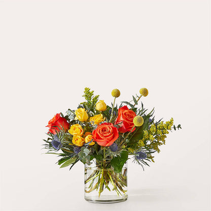 Disco Bouquet –  Fleurs.ca, Quebec PQ