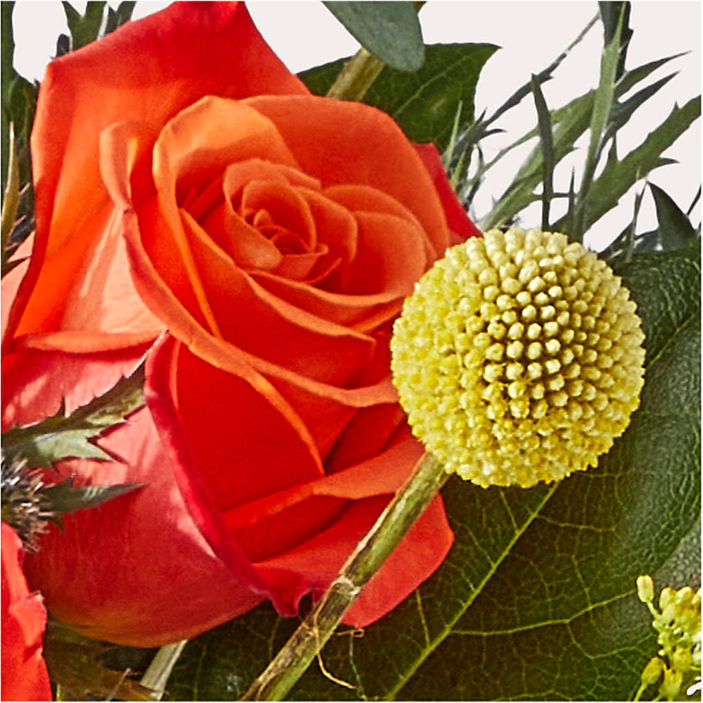 Disco Bouquet –  Fleurs.ca, Quebec PQ