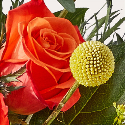 Disco Bouquet –  Fleurs.ca, Quebec PQ