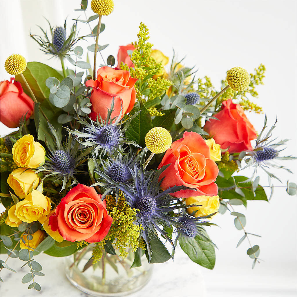 Disco Bouquet –  Fleurs.ca, Quebec PQ