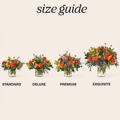 Disco Bouquet –  Fleurs.ca, Quebec PQ