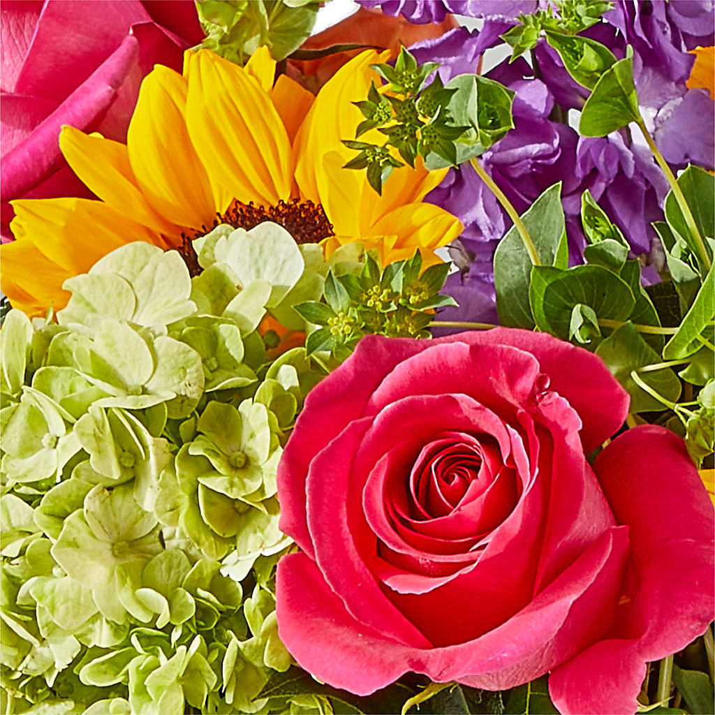 Vibrant Greetings Bouquet –  Fleurs.ca, Quebec PQ