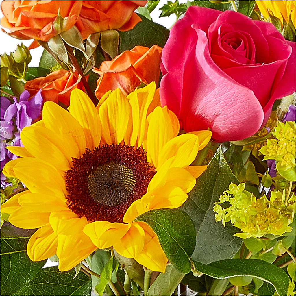 Vibrant Greetings Bouquet –  Fleurs.ca, Quebec PQ