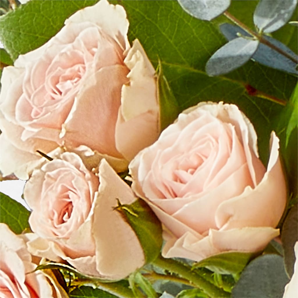 Inspired Bouquet –  Fleurs.ca, Quebec PQ