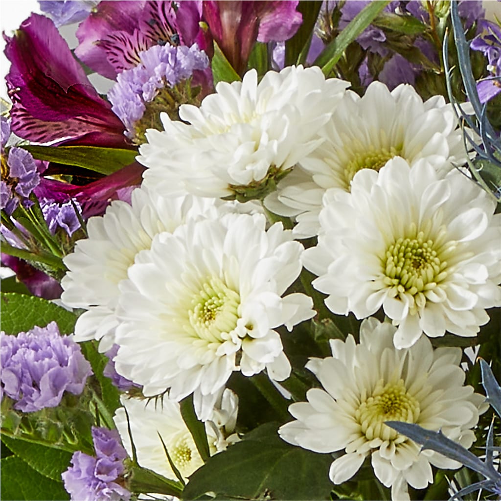 Shooting Star Bouquet –  Fleurs.ca, Quebec PQ