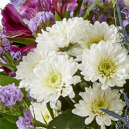Shooting Star Bouquet –  Fleurs.ca, Quebec PQ
