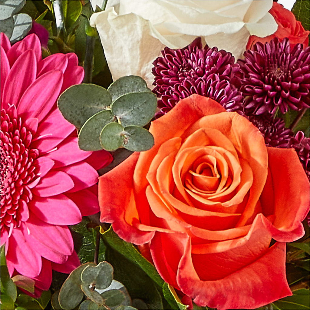 Smell the Roses Bouquet –  Fleurs.ca, Quebec PQ