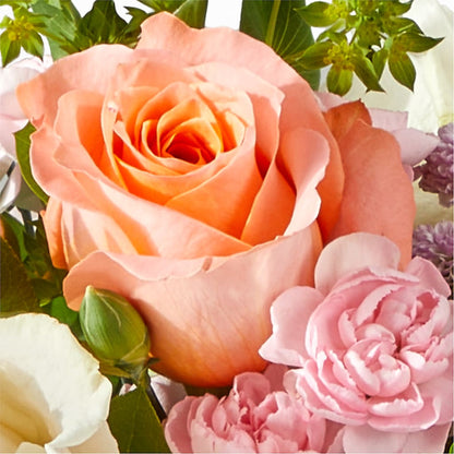 French Market Bouquet –  Fleurs.ca, Quebec PQ
