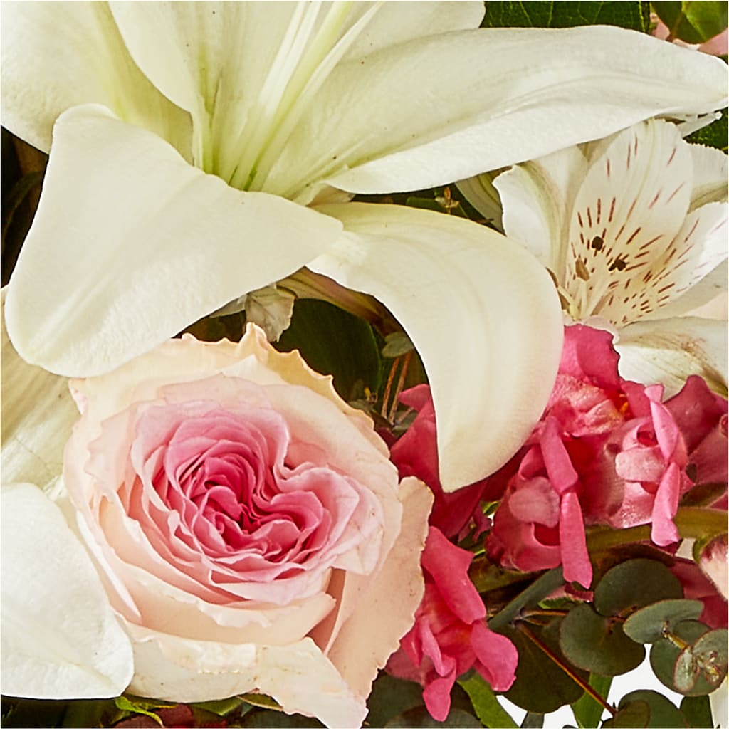 Ballet Slippers Bouquet –  Fleurs.ca, Quebec PQ