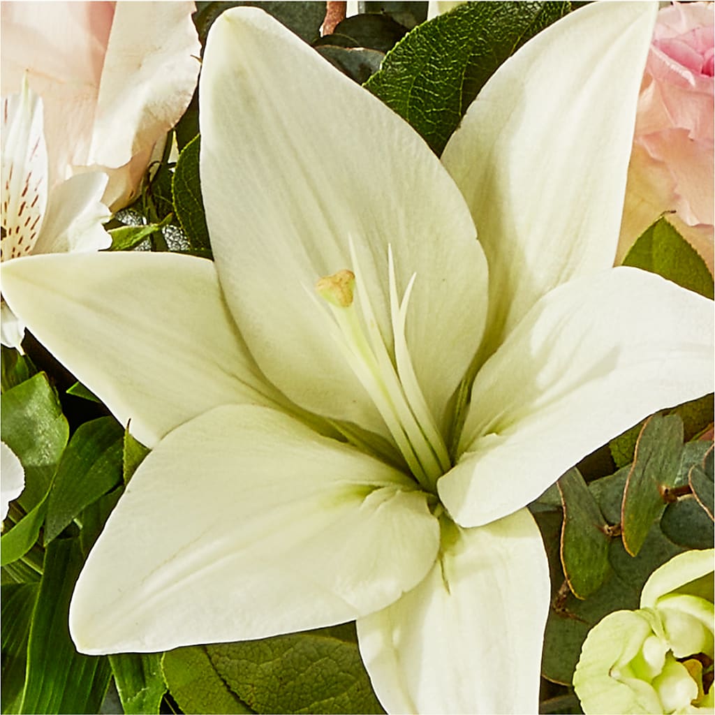 Ballet Slippers Bouquet –  Fleurs.ca, Quebec PQ
