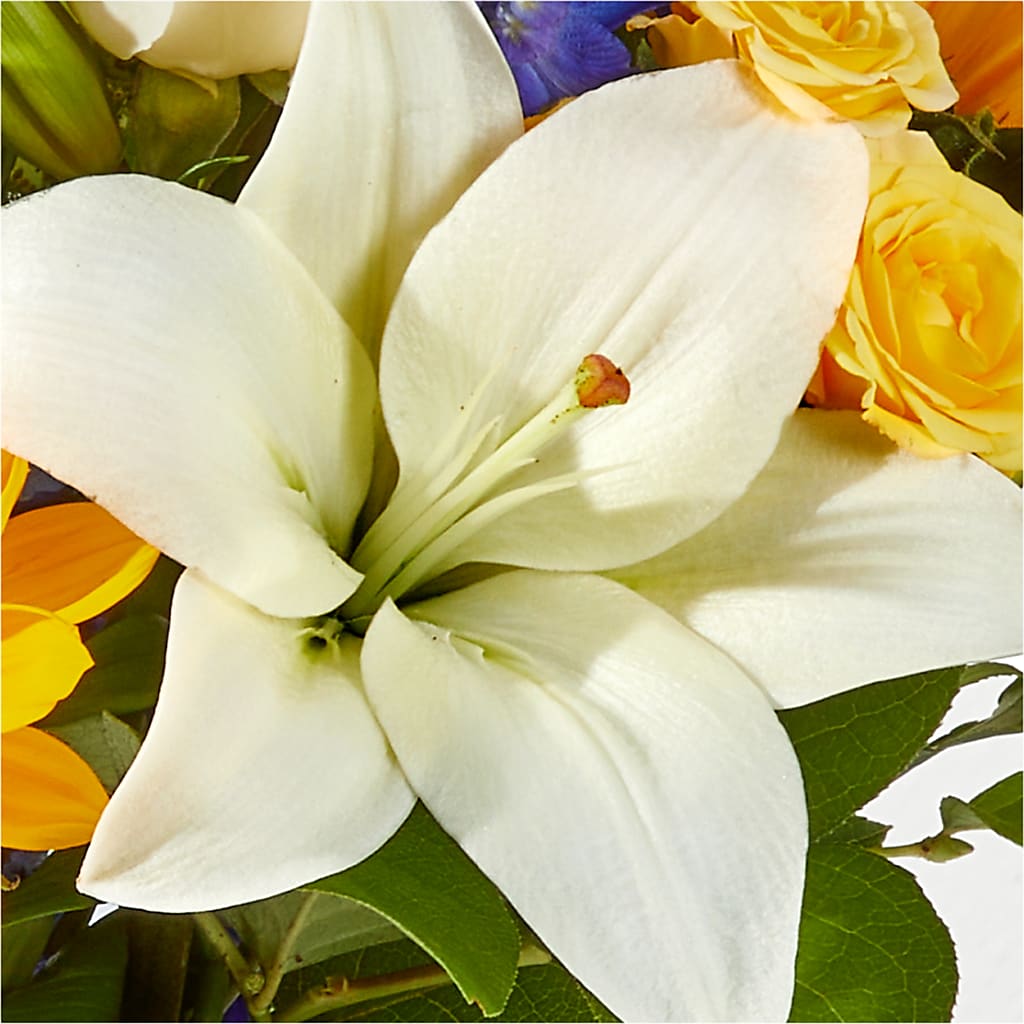 Wonderfully Sunny Bouquet –  Fleurs.ca, Quebec PQ