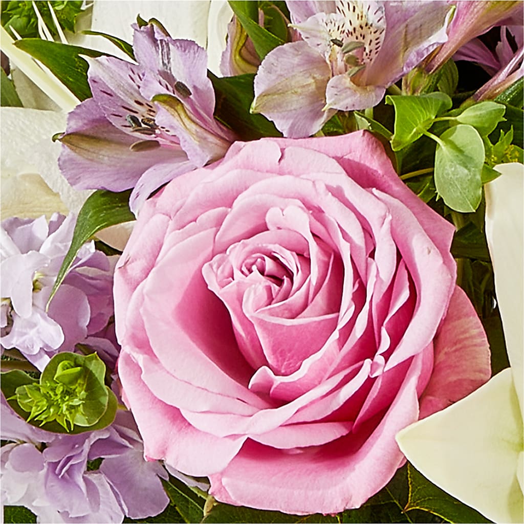 Daydreamer Bouquet –  Fleurs.ca, Quebec PQ