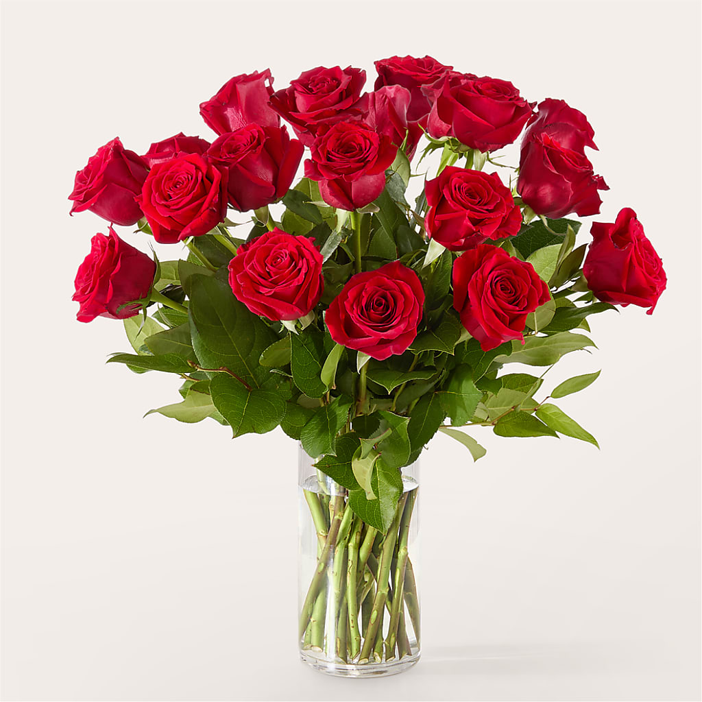 The One Red Rose Bouquet –  Fleurs.ca, Quebec PQ