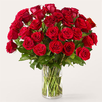 The One Red Rose Bouquet –  Fleurs.ca, Quebec PQ