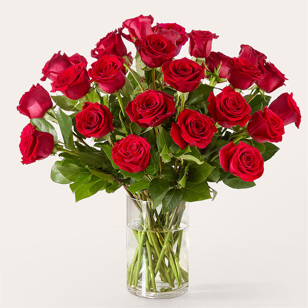 The One Red Rose Bouquet –  Fleurs.ca, Quebec PQ