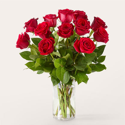 The One Red Rose Bouquet –  Fleurs.ca, Quebec PQ