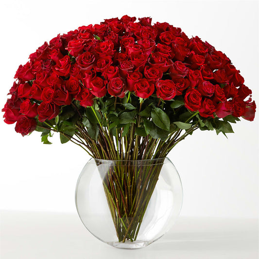 The Idealist –  Fleurs.ca, Quebec PQ