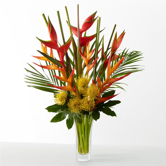 The Drama –  Fleurs.ca, Quebec PQ