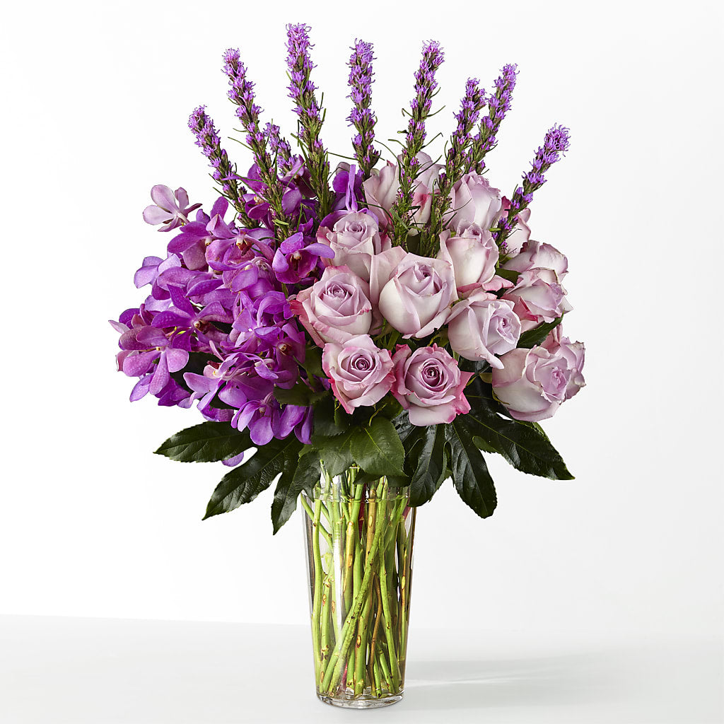 The Maximalist –  Fleurs.ca, Quebec PQ