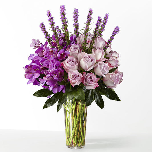 The Maximalist –  Fleurs.ca, Quebec PQ