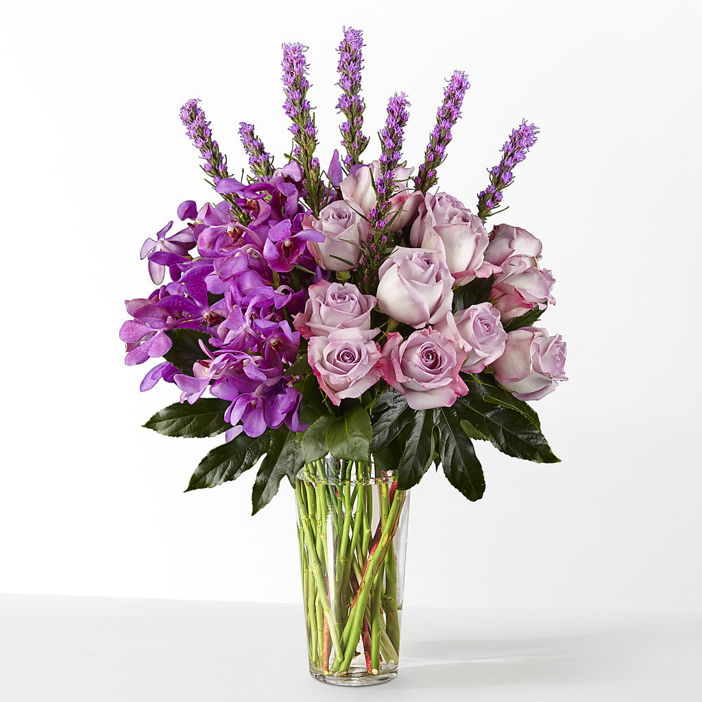 The Maximalist –  Fleurs.ca, Quebec PQ