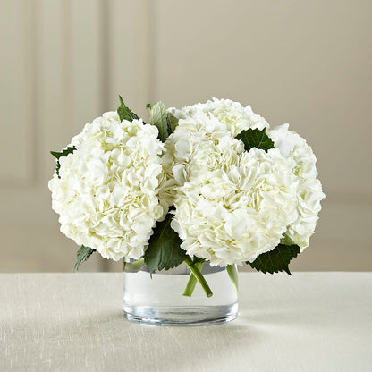 White Hydrangea Bouquet –  Fleurs.ca, Quebec PQ