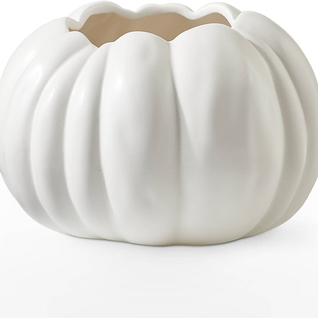 Pumpkin to Talk About Bouquet –  Fleurs.ca, Quebec PQ